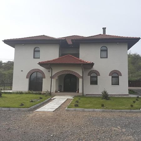 Pensiunea Casa Ungur Cetea Exterior foto