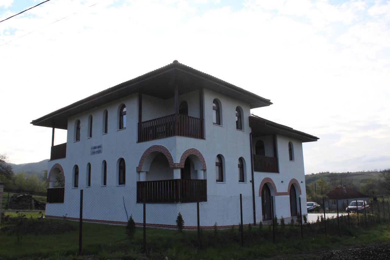 Pensiunea Casa Ungur Cetea Exterior foto