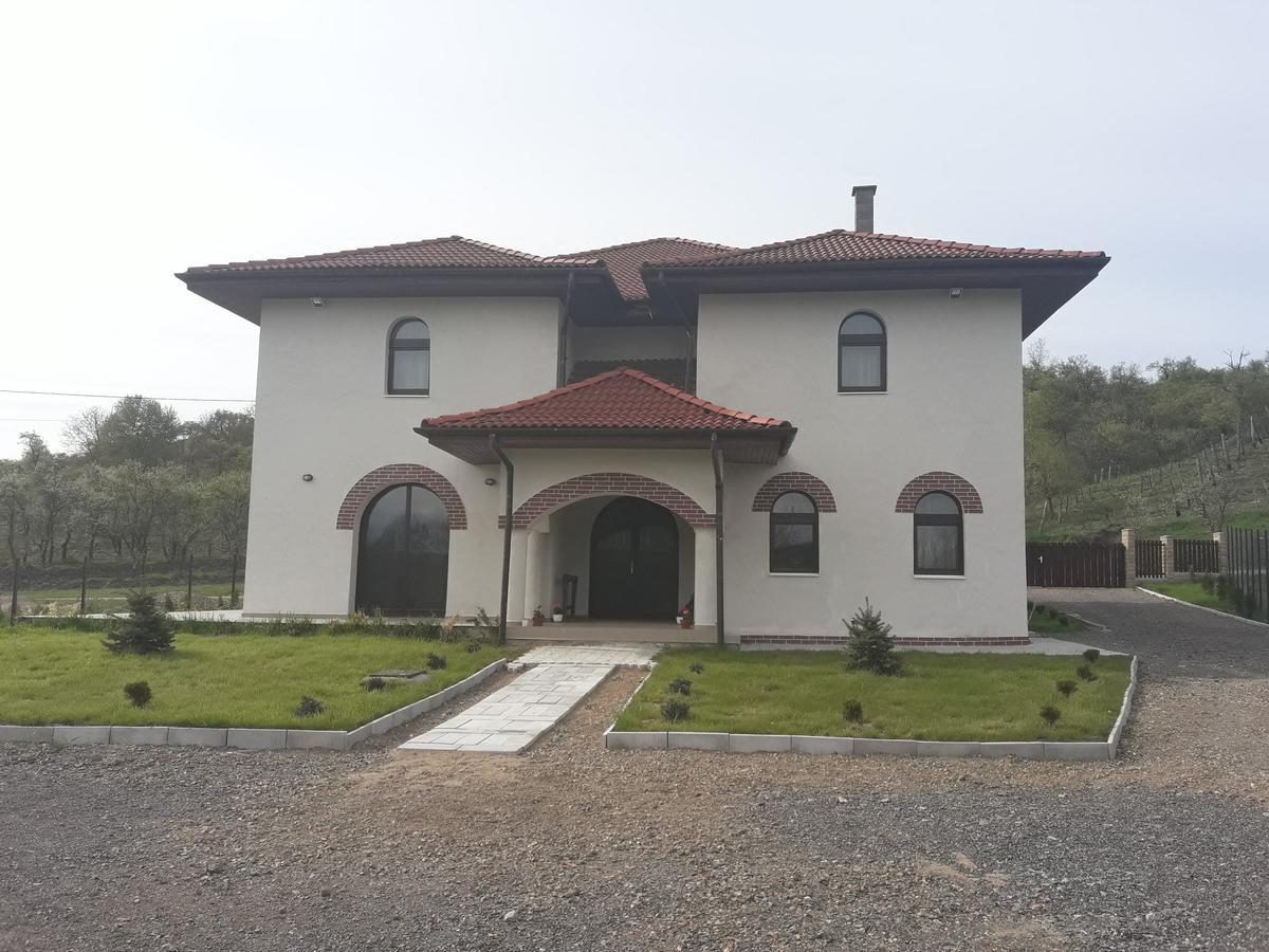 Pensiunea Casa Ungur Cetea Exterior foto